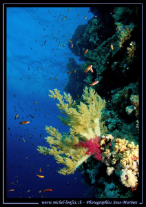 Red Sea Atmospher... Que du bonheur... :O)... by Michel Lonfat 